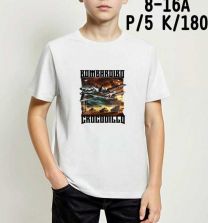 Bluzki chłopięce na krótki rękaw (8-16LAT/10szt)