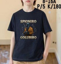 Bluzki chłopięce na krótki rękaw (8-16LAT/10szt)