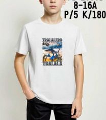 Bluzki chłopięce na krótki rękaw (8-16LAT/10szt)