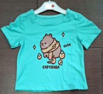 Bluzka dziewczęca krótki rękaw(4-14lat/6szt)