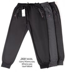 Spodnie dresowe męskie (M-2XL/12szt)