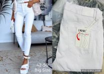 Spodnie Jeans damskie (42-50/10SZT)