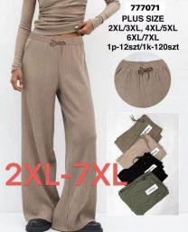 Spodnie damskie (2-7XL/12szt)
