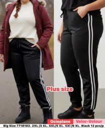 PLUS_Spodnie welurowy (2XL-6XL/12szt)