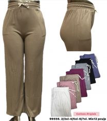 Spodnie damskie (2-7XL/12szt)