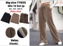 PLUS_Spodnie welurowy (3-6XL/12szt)