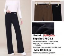 PLUS_Spodnie elastyczny (3-6XL/12szt)