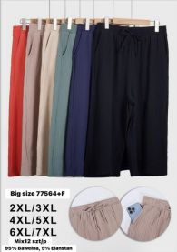 Spodnie elastyczny (2XL-7XL/12szt)