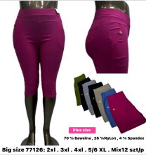 Rybaczki damskie (2XL-6XL/12szt)