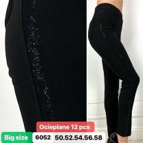 PLUS_Spodnie elastyczny (50-58/12szt)