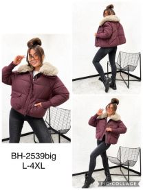 Kurtka damska (L-4XL/5szt)