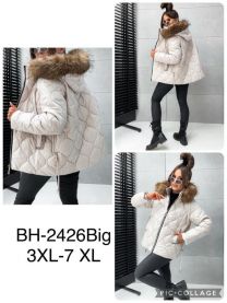 Kurtka damska (3-7XL/5szt)