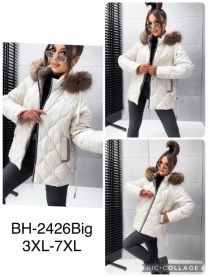 Kurtka damska (3-7XL/5szt)