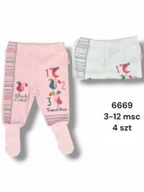 Spodnie niemowlęce Turecka (3-12M/12szt)