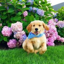 Poszewka na poduszka (40x40cm/10szt)