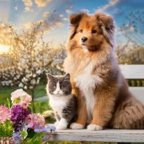 Poszewka na poduszka (40x40cm/10szt)