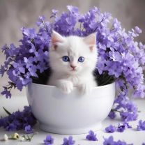 Poszewka na poduszka (40x40cm/10szt)