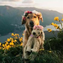 Poszewka na poduszka (40x40cm/10szt)