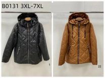 Kurtka damskie (3XL-7XL/5szt)