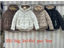 Kurtka damskie (2-6XL/5szt)