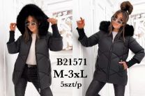 kurtka damskie (M-3XL/5szt)