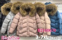 Kurtka damskie (3XL-7XL/5szt)