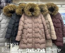 Kurtka damskie (3XL-7XL/5szt)