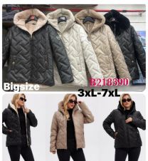 Kurtka damskie (3-7XL/5szt)