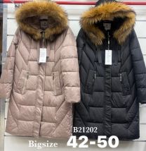 Kurtka damskie (42-50/5szt)