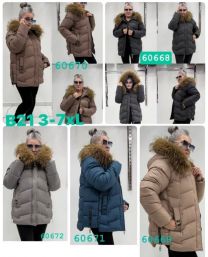 Kurtka damskie (3XL-7XL/5szt)