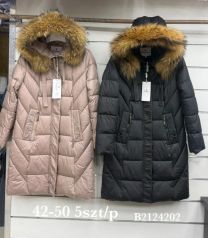 kurtka damskie (42-50/5szt)