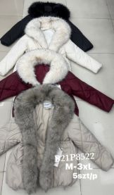 kurtka damskie (M-3XL/5szt)