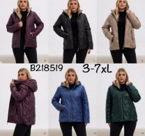 Kurtka damskie (3-7XL/5szt)
