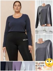 Bluzka damska (2-4XL/12szt)