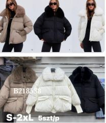 Kurtka damskie (S-2XL/5szt)