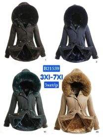 Kurtka damskie (3-7XL/5szt)