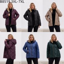 kurtka damskie (3XL-7XL/5szt)