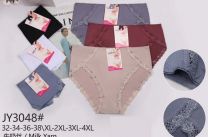 Majtki damskie (XL-3XL/24szt)