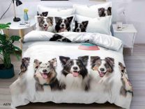 Komplet pościeli 3 częściowy (160x200cm/6kompletów)