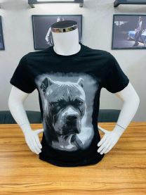 Bluzka męska (M-2XL/12szt)