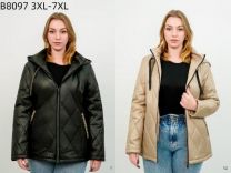 Kurtka damskie (3XL-7XL/5szt)