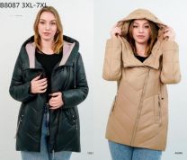 Kurtka damskie (3XL-7XL/5szt)