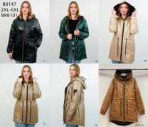 Kurtka damskie (2XL-6XL/5szt)
