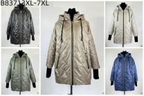 Kurtka damskie (3XL-7XL/5szt)
