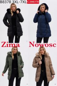 Kurtka damskie (3XL-7XL/5szt)
