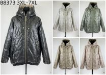 Kurtka damskie (3XL-7XL/5szt)
