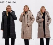 Kurtka damskie (3XL-7XL/5szt)