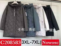 Kurtka damska (3-7XL/5szt)