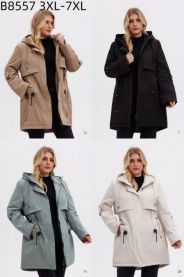Kurtka damskie (3XL-7XL/5szt)