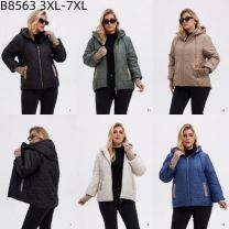 Kurtka damskie (3XL-7XL/5szt)
